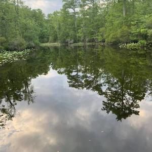 Meet your Posher, Chastity